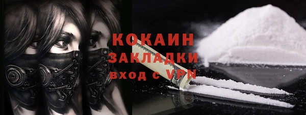 альфа пвп Гусев