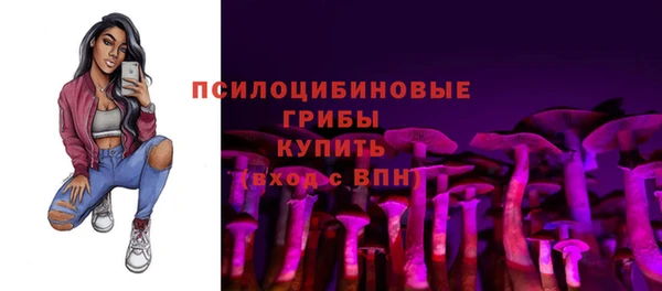 мдма Гусиноозёрск