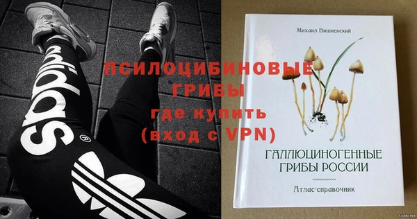 альфа пвп Гусев